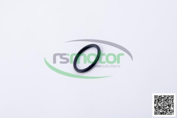 O-ring Jenbacher RS-456745 - Image 6