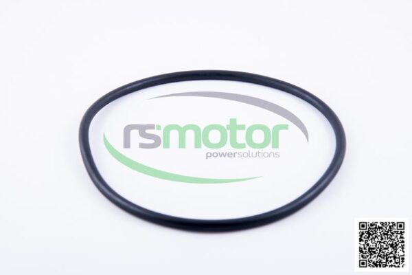 O-Ring Jenbacher RS-456747 - Image 2