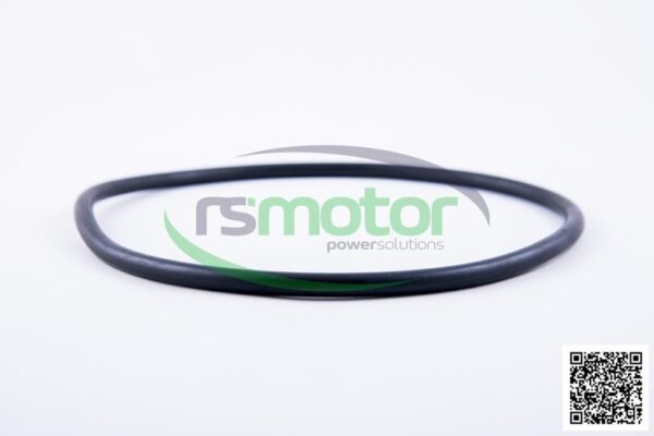 O-Ring Jenbacher RS-456747 - Image 3