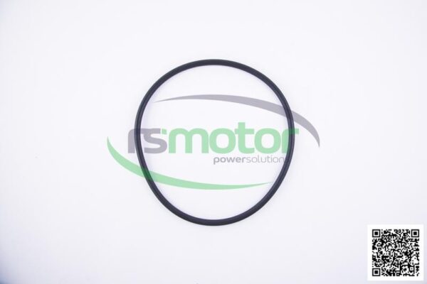 O-Ring Jenbacher RS-456747 - Image 4