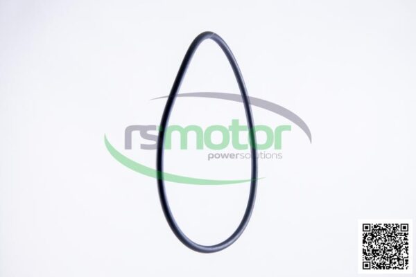 O-Ring Jenbacher RS-456747 - Image 6