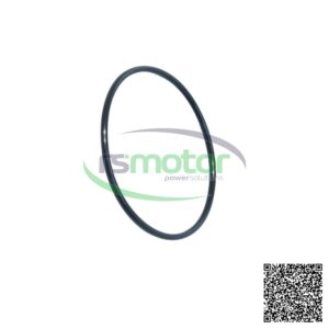 Junta tórica Jenbacher RS-456748 de color negro sobre un fondo blanco, con el logo "rsmotor powersolutions".