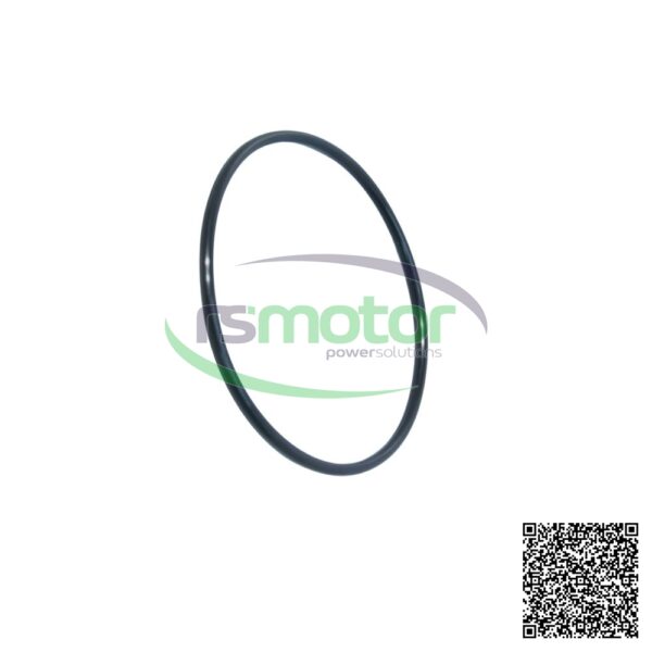 O-ring Jenbacher RS-456748