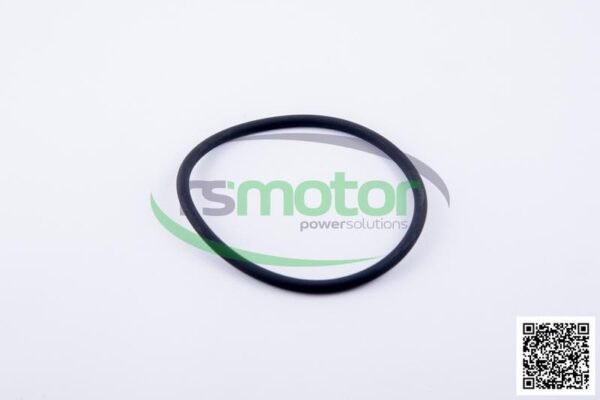 O-ring Jenbacher RS-456800 - Image 2