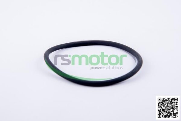 O-ring Jenbacher RS-456800 - Image 3