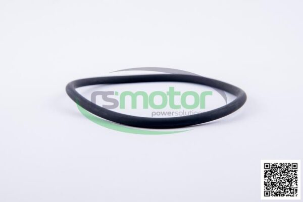 O-ring Jenbacher RS-456800 - Image 4