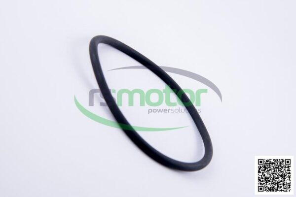 O-ring Jenbacher RS-456800 - Image 5