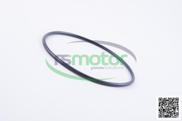 O-ring Jenbacher RS-457377 - Image 6