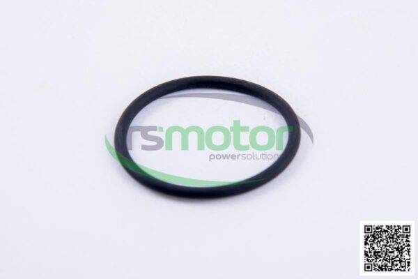 O-Ring Jenbacher RS-468729 - Image 4