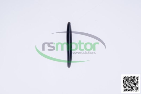 O-Ring Jenbacher RS-468729 - Image 5
