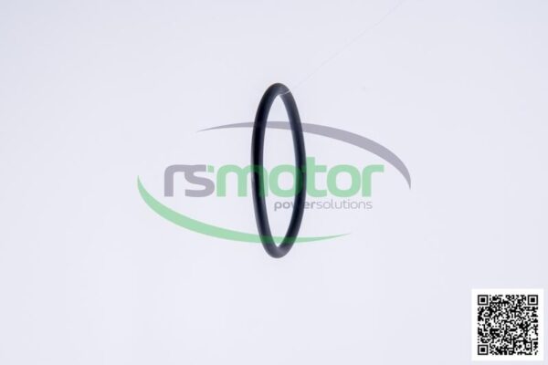 O-Ring Jenbacher RS-468729 - Image 6