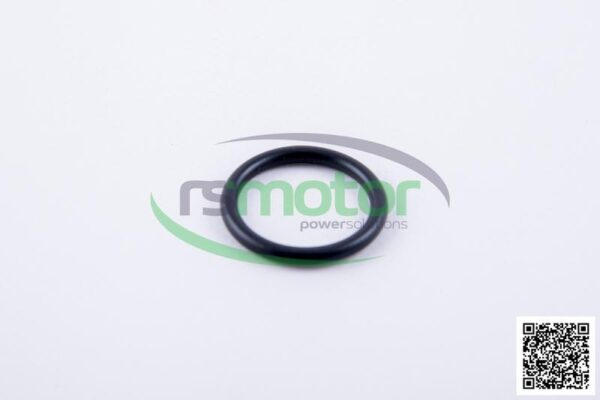 O-ring Jenbacher RS-497431 - Image 2