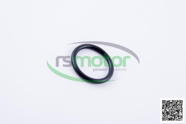 O-ring Jenbacher RS-497431 - Image 5
