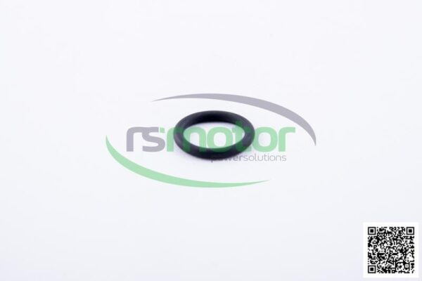 O-ring Jenbacher RS-497554 - Image 3