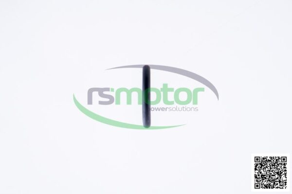 O-ring Jenbacher RS-497554 - Image 6