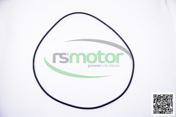O-ring Jenbacher RS-540807 - Image 3