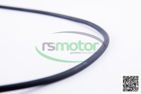 O-ring Jenbacher RS-540807 - Image 5