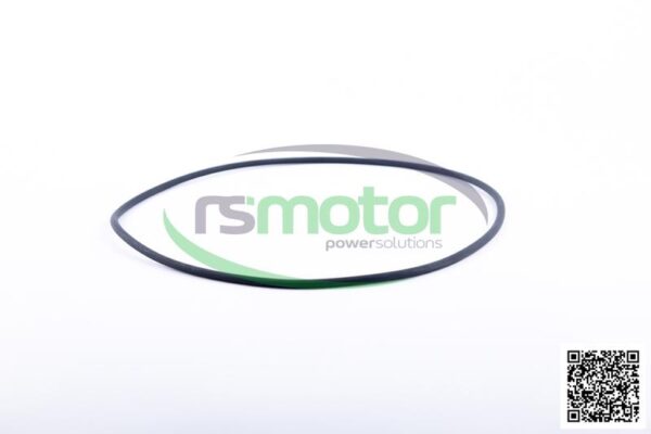 O-Ring Jenbacher RS-540808 - Image 2