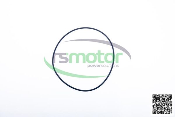 O-Ring Jenbacher RS-540808 - Image 3