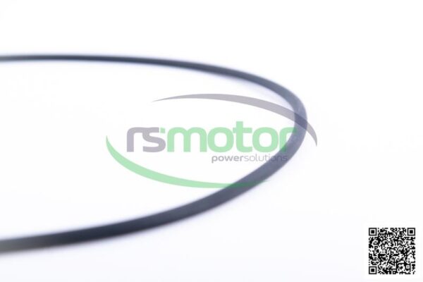 O-Ring Jenbacher RS-540808 - Image 5