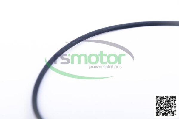 O-Ring Jenbacher RS-540808 - Image 6