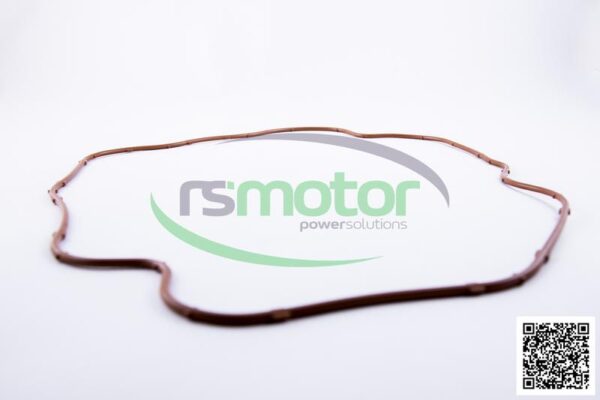 Gasket Jenbacher RS-557645 - Image 3