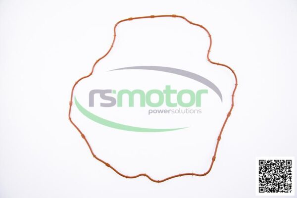 Gasket Jenbacher RS-557646 - Image 3