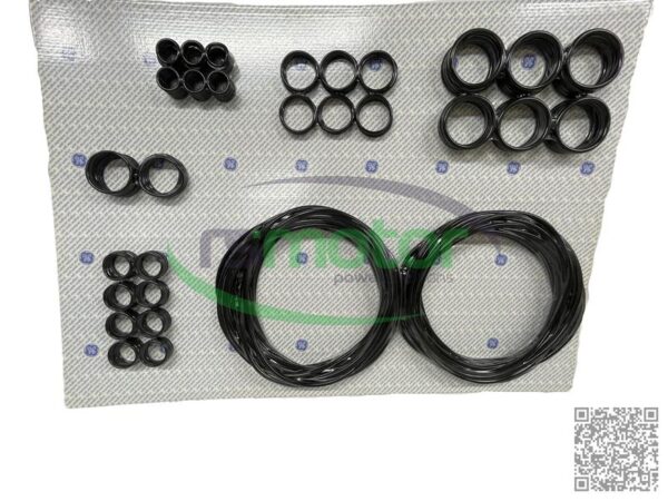 Sealing kit Jenbacher RS-582713 - Image 2