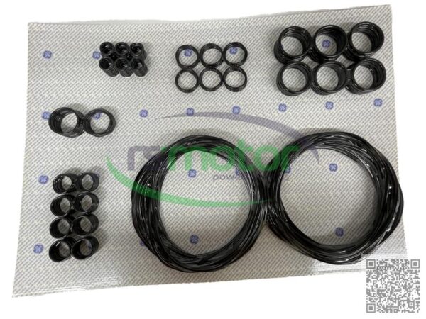 Sealing kit Jenbacher RS-582713 - Image 3