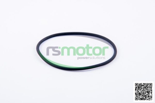 O-ring Jenbacher RS-622226 - Image 2