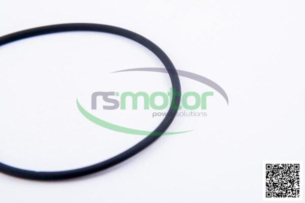 O-ring Jenbacher RS-622226 - Image 5