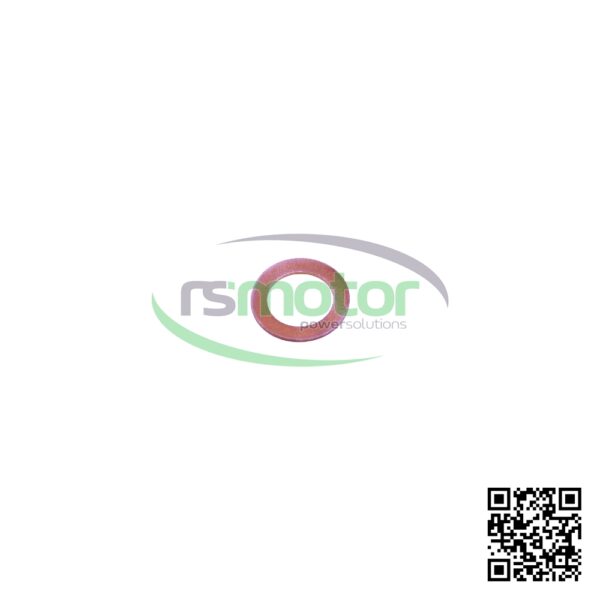 Anillo de Sellado MWM RS-01118669 - Imagen 2