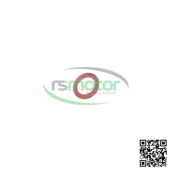Anillo de Sellado MWM RS-01118669 - Imagen 6