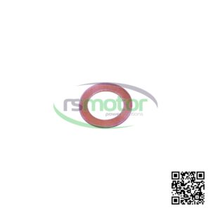 Anillo de Sellado MWM RS-01118669