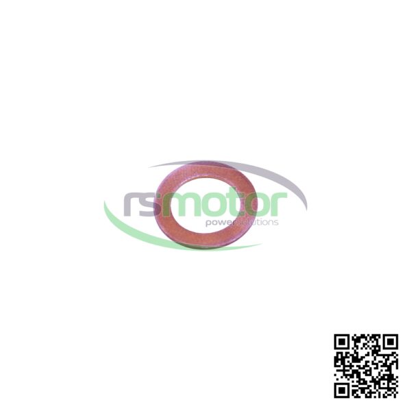 Anillo de Sellado MWM RS-01118669