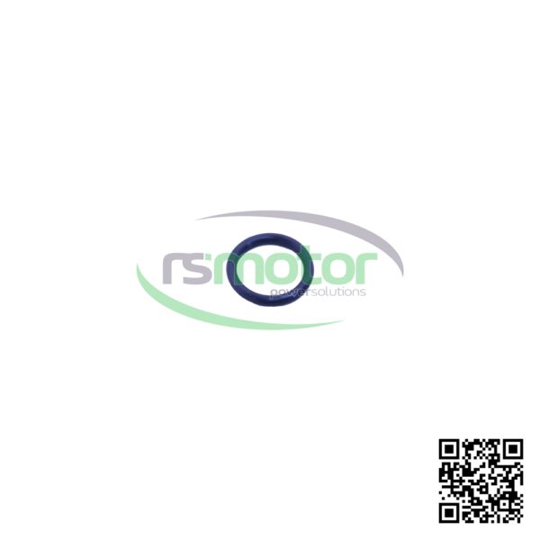 Junta tórica MWM RS-01138429 - Imagen 2