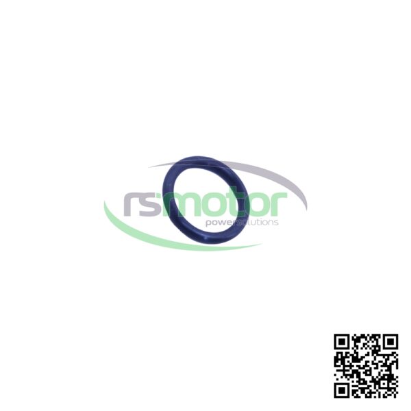 Junta tórica MWM RS-01138429 - Imagen 6