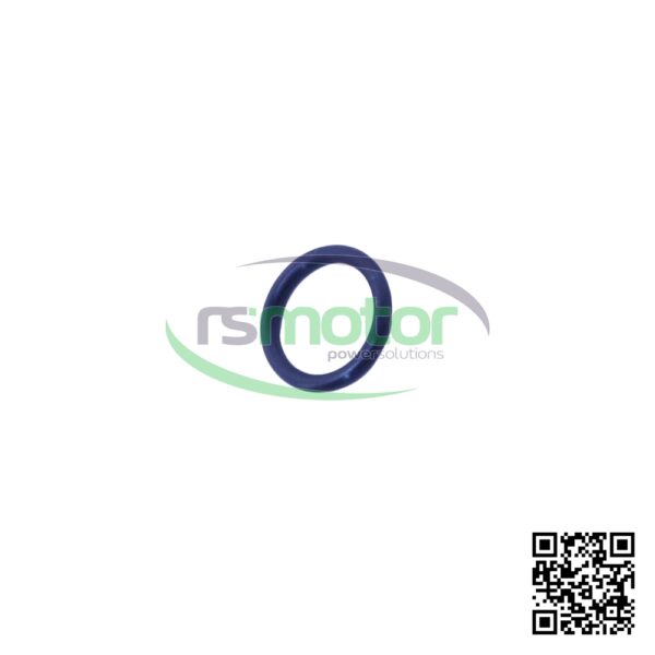 Junta tórica MWM RS-01138429 - Imagen 5