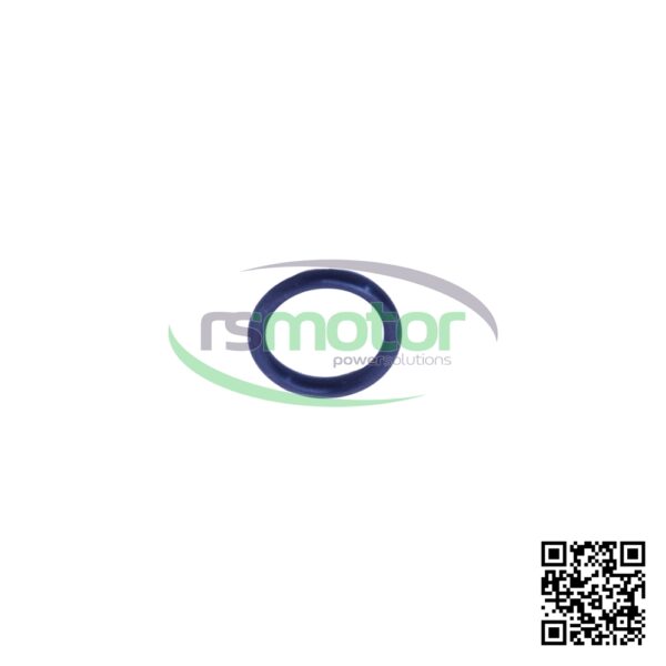 Junta tórica MWM RS-01138429 - Imagen 3
