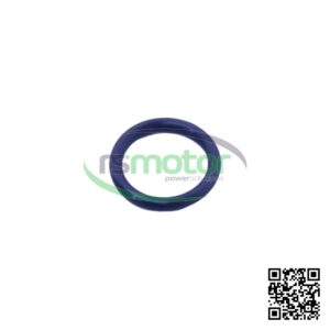 Junta tórica MWM RS-01138429
