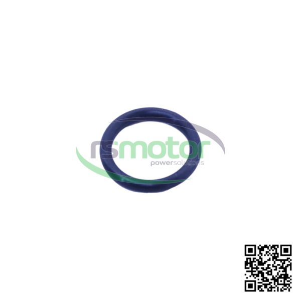 Junta tórica MWM RS-01138429