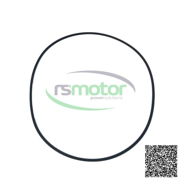 Junta tórica MWM RS-01180026 - Imagen 4