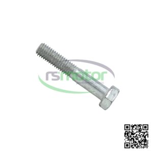 Hexagon Bolt MWM RS-01111150 on a white background with the RS Motor logo in the background