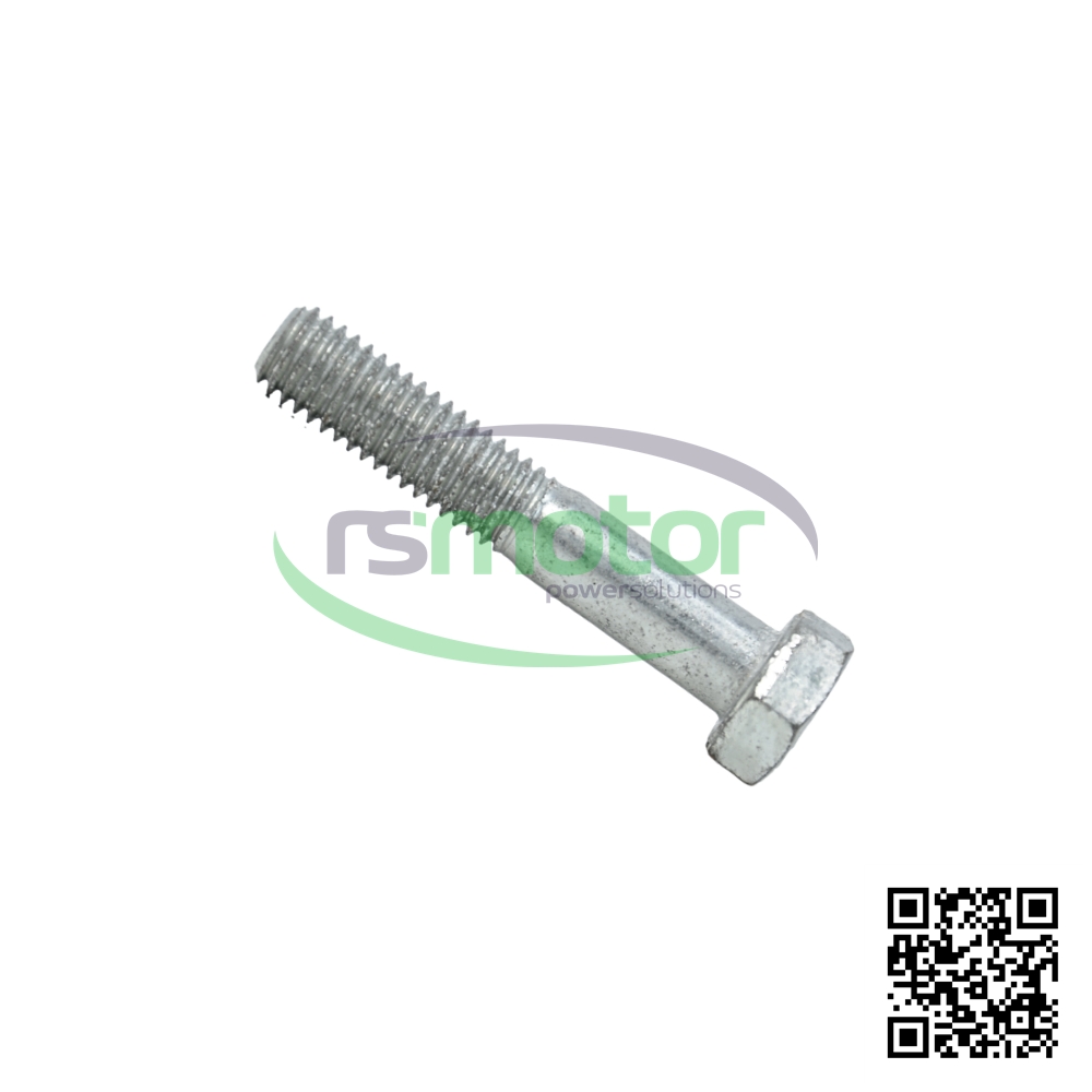 Tornillo Hexagonal RS-01111150 sobre un fondo blanco con el logo de RS Motor de fondo