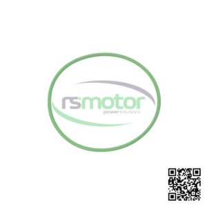 Junta Tórica MWM RS-01153850 Sobre un fondo blanco con el logo de RS Motor