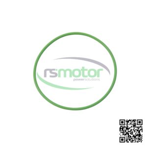 O-Seal MWM RS-01153850 on a white background with the RS Motor logo in the background