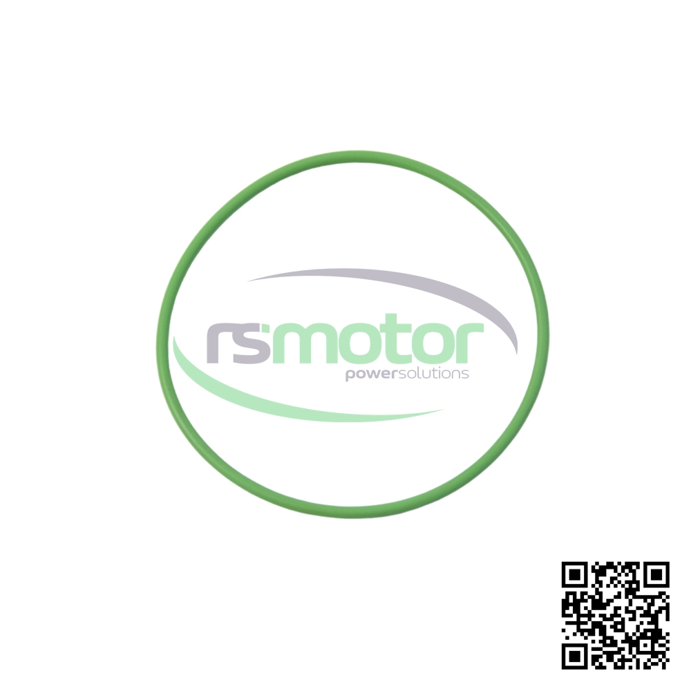 O-Seal MWM RS-01153850 on a white background with the RS Motor logo in the background