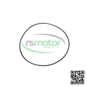 Junta Tórica MWM RS-12213513 Sobre un fondo blanco con el logo de RS Motor de fondo