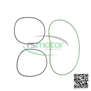 Gasket Set ASS64 MWM RS-12217925 on a white background with the RS Motor logo in the background