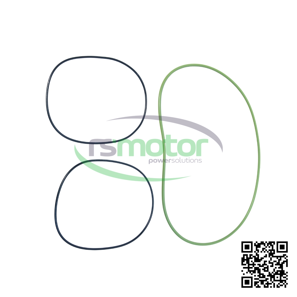 Gasket Set ASS64 MWM RS-12217925 on a white background with the RS Motor logo in the background